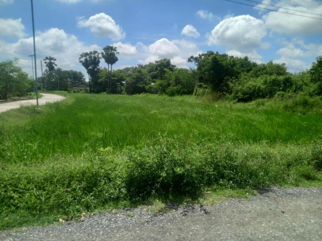 ขายด่วนที่ดินสุดสวย 100 ตารางวาติดถนน