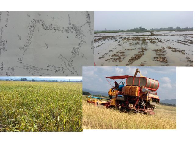 ขายด่วน ที่นา 47 ไร่ เขตชลประทาน บ้านทรายทอง