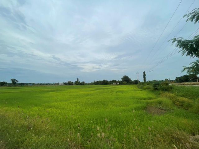 ขายที่ดินเปล่า ขนาด 24 ไร่ ทำเลทอง บรรยากาศร่มรื่น ใกล้แหล่งชุมชน ต.หัวสำโรง ฉะเชิงเทรา