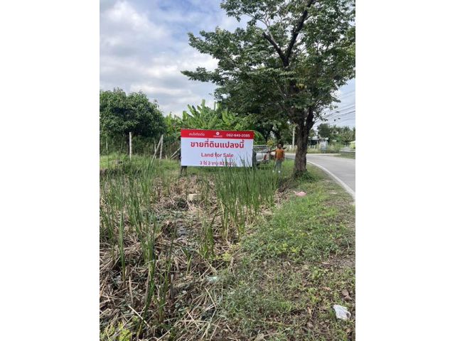 ขายที่ดินเอกชัย 3-3-82 บริเวณบางขุนเทียน