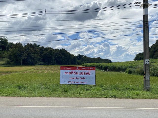 ขายที่ดิน 13 แปลง 151-3-14 จ.เชียงราย อ.เชียงแสน