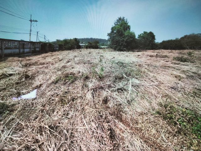 ให้เช่าที่ดินระยะยาว