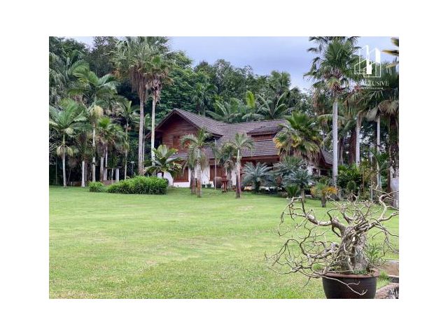 ขายด่วน รีสอร์ทส่วนตัว พร้อมสวนทุเรียนและมังคุด จ.สุราษฏร์ธานี