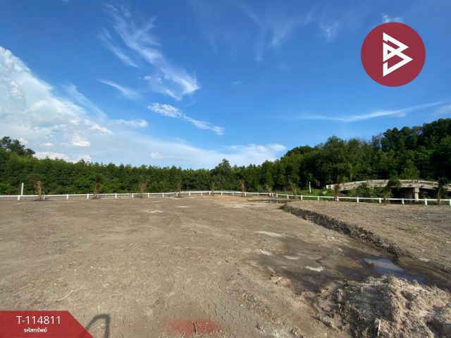 ขายที่ดิน เนื้อที่ 10 ไร่ 2 งาน 41 ตร.วา อัมพวา สมุทรสงคราม