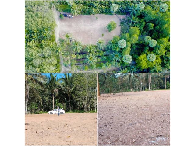 ขายที่ดินทุ่งหวัง