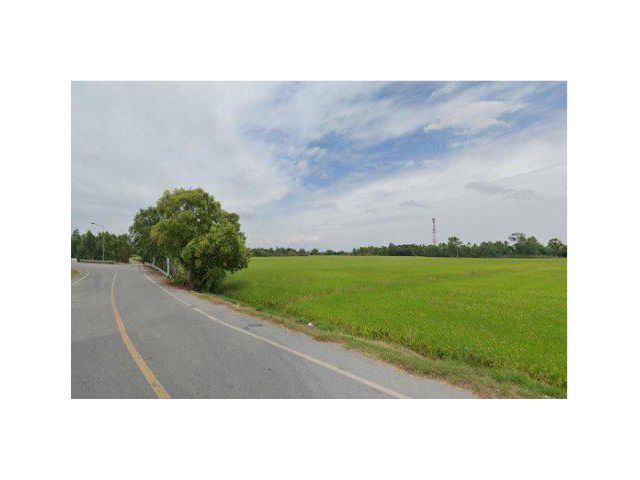 ขายที่ดิน 75 ไร่ ติดถนน4009 ต.ไผ่พระ อ.บางไทร จ.พระนครศรีอยุธยา