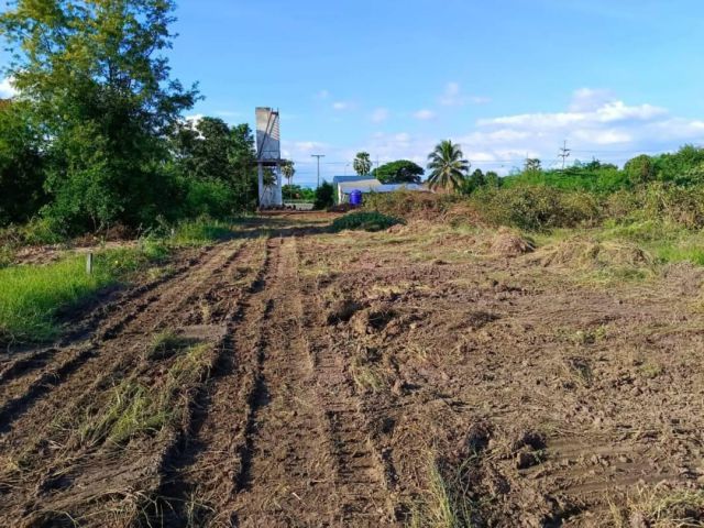 ขายที่ดิน 17 ไร่ ติดถนน 4 เลน ต.บ้านเชี่ยน อ.หันคา จ.ชัยนาท