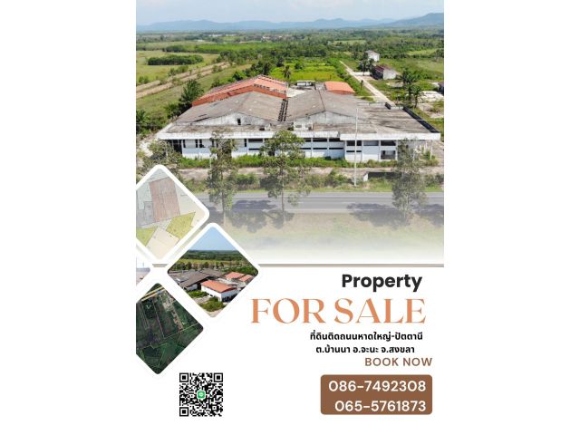 ขายที่ดิน 191 ไร่ ติดถนน หาดใหญ่-ปัตตานี | ทำเลศักยภาพเหมาะลงหรือขยายธุรกิจ