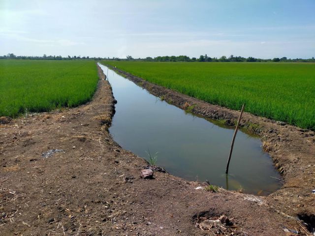 ขายที่ดิน/ที่นา 72-300ไร่ไร่ละ350000-ติดถนนหินคลุก+คลองดิน อ.กำแพงแสน จ.นครปฐม.เหมาะทำทุกอย่าง ดินน้ำดี น้ำไม่ท่วม