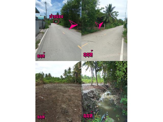 192 ตรว. ถมแล้ว ใกล้ตลาดแม่กลอง 5 กม. ติดลาดยาง 25 ม. ยาว 31 ม.