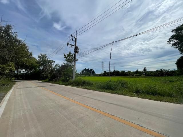 ขายที่ดินหนองใหญ่ชลบุรี ขายที่ดิน 12 ไร่