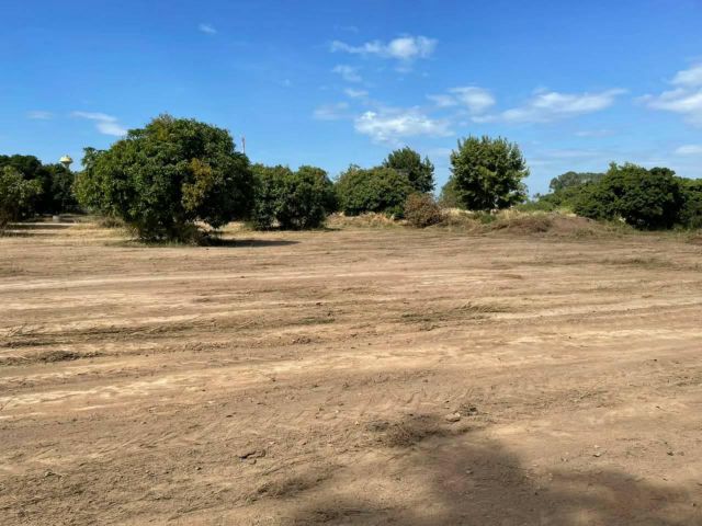 ขายที่ดิน 12 ไร่ ซอยหนองปลาไหล10 เมืองพัทยา อ.บางละมุง จ.ชลบุรี