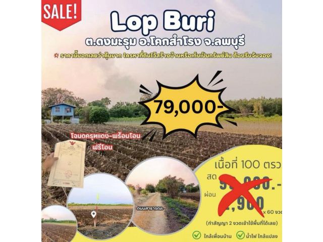 ที่ดิน ดงมะรุม โคกสำโรง ลพบุรี