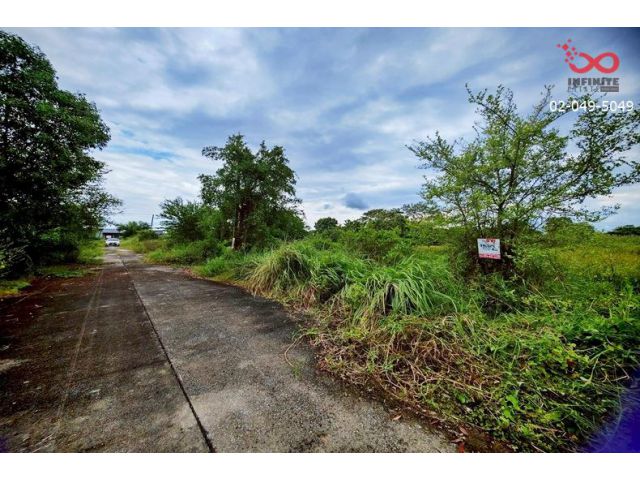 ขายที่ดิน 522ตร.ว.สุวินทวงศ์ 96 ใกล้สนามกอล์ฟ ฟีนิกซ์โกลด์ กอล์ฟ