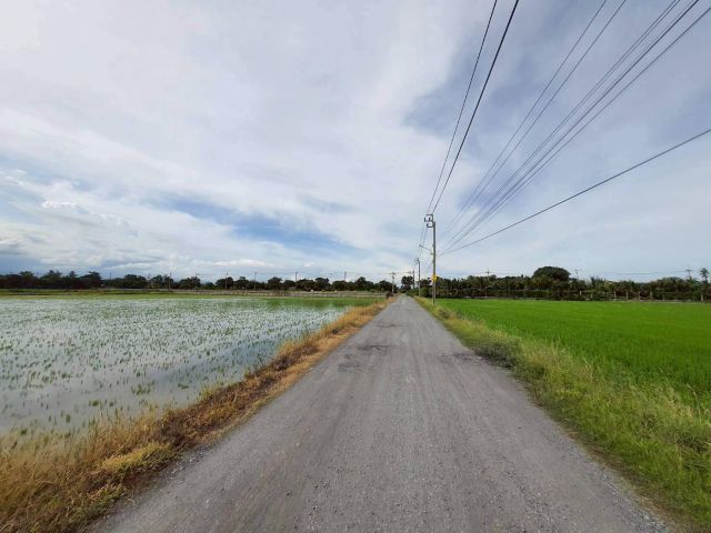 ขายด่วน️ที่ดินหนองจอก 2 ไร่ครึ่ง️ติดถนนสาธารณะ ถนนสังฆสันติสุข ซอย 62 กรุงเทพมหานคร 095-879-4465