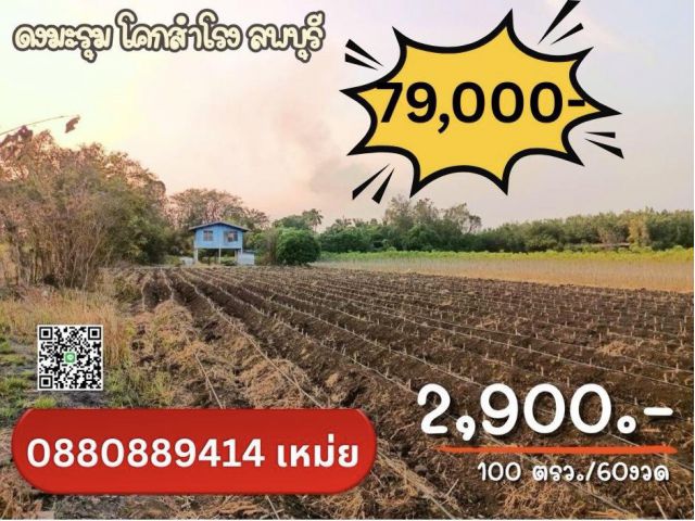 ที่ดิน ดงมะรุม ลพบุรี 100 ตร.วา