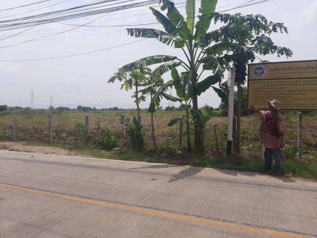 ขายที่ดิน 38 ไร่ ติดหมู่บ้านร่มเย็น ต.วัดไทร อ.เมืองนครสวรรค์ จ.นครสวรรค์