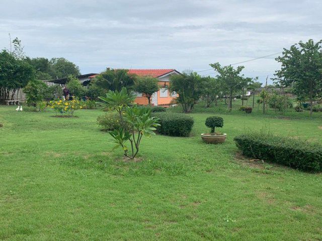 ขายที่ดิน 9 ไร่ บางนา-ตราด กม.36 ต.หอมศีล อ.บางปะกง จ.ฉะเชิงเทรา