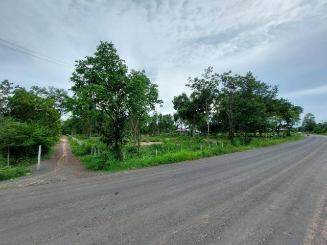 L940 ขายที่ดินติดแม่น้ำมูล 7 ไร่ วารินชำราบ อุบลราชธานี