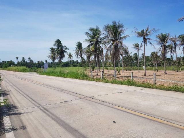 ขายที่ดิน 5 ไร่ ใกล้ถนนมอเตอร์เวย์ ใกล้แยกแม่กิมบ๊วย ต.บางพระ อ.ศรีราชา จ.ชลบุรี