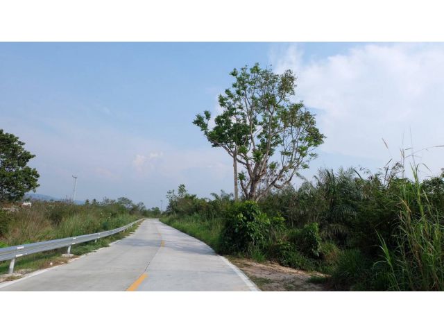 ขายที่ดิน 45 ไร่ ติดถนนมอเตอร์เวย์ ใกล้ FN Outlet ศรีราชา ต.บางพระ อ.ศรีราชา จ.ชลบุรี