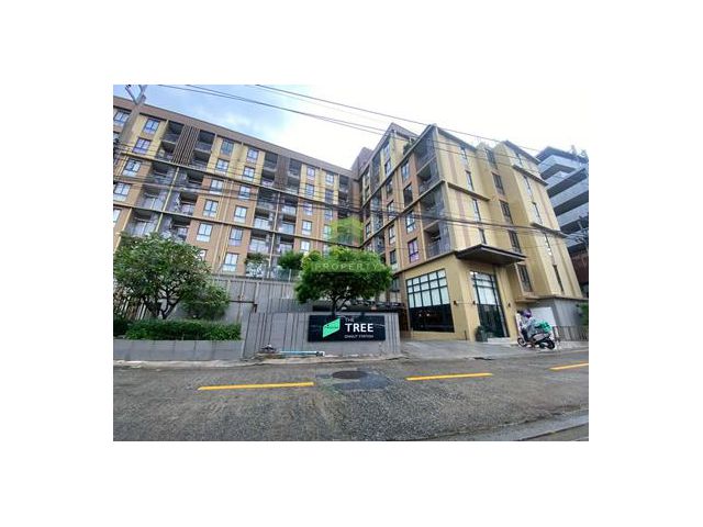 ขาย ให้เช่า คอนโดใจกลางอ่อนนุช เดอะทรี อ่อนนุช สเตชั่น The Tree Onnut Station เนื้อที่ 26 ตร.ม เฟอร์ครบ ใกล้BTS อ่อนนุช