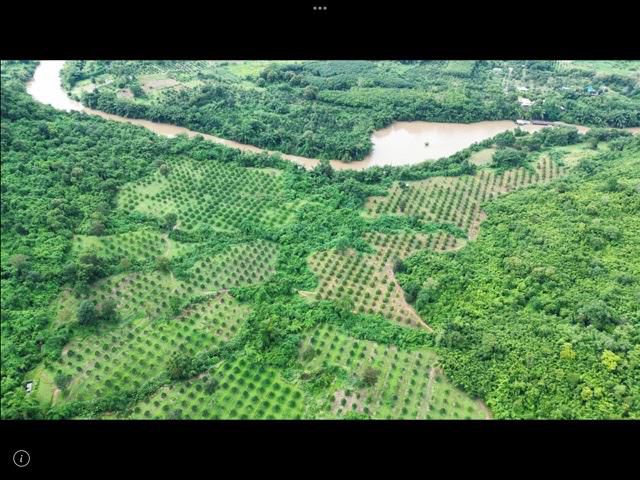 ขายสวนทุเรียน450ไร่ติดริมแม่น้ำแควน้อยยาว1กิโล มีทุเรียนกว่า5พันต้นต้นสักทองขาย145ล้านเป็นเอกสารนส.3ก.ทั้งหมด