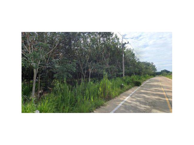 ให้เช่าที่ดิน 44 ไร่ ติดถนนสองด้าน หน้านิคมโรจนะหนองใหญ่ อ.หนองใหญ่ จ.ชลบุรี