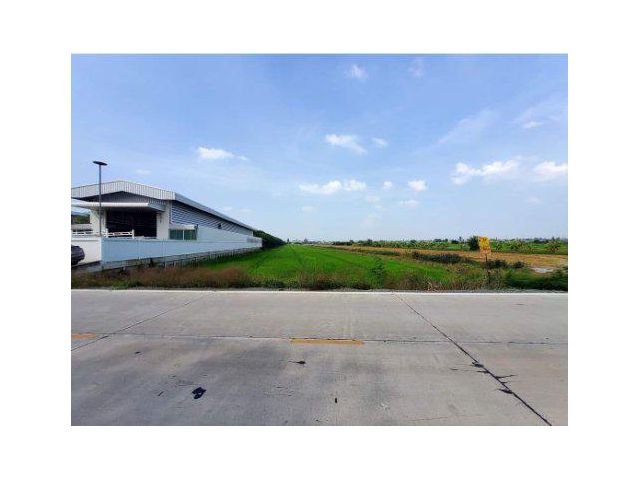 ขายที่ดิน 15 ไร่ ถ.บางสะแกเหนือ ต.ลาดหลุมแก้ว อ.ลาดหลุมแก้ว จ.ปทุมธานี