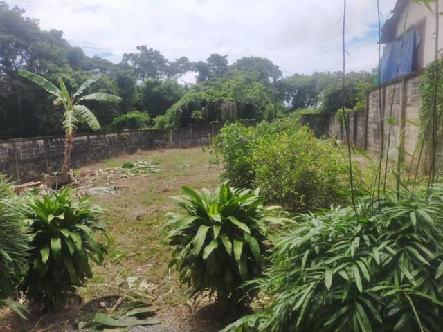 เสนอขายที่ดินแปลงเปล่า ทำเลดีใกล้มหาลัยราชภัฏรำไพพรรณี&สี่แยกไฟแดงเขาไร่ยา เนื้อที่ 100 ตารางวา ตำบลท่าช้าง อำเภอเมือง