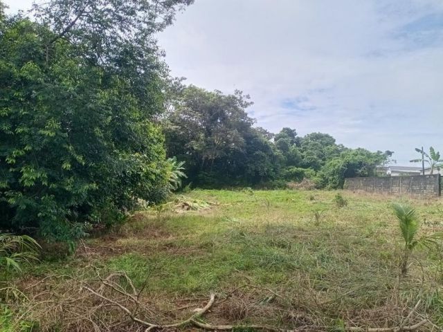 เสนอขายที่ดินแปลงเปล่า ติดถนนคอนกรีต ทำเลดีใกล้มหาลัยราชภัฏรำไพพรรณี&สี่แยกเขาไร่ยา เนื้อที่ 200 ตารางวา ตำบลท่าช้าง อำเ