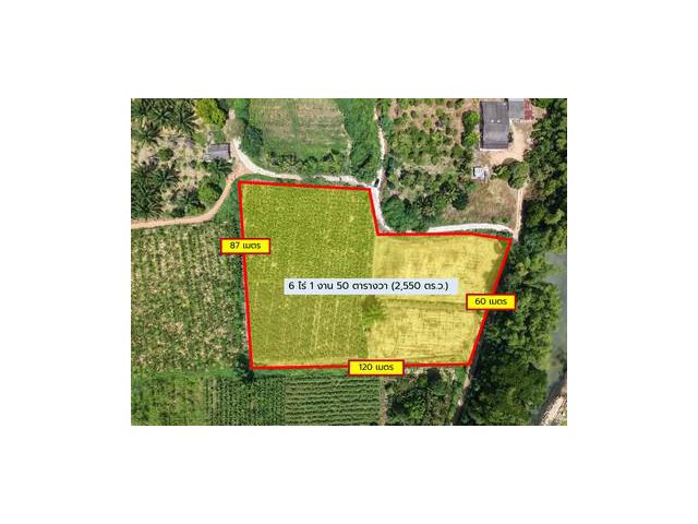 ขายถูก ที่ดินเปล่า ท่าไม้รวก ท่ายาง เพชรบุรี ใกล้ ถนนทางหลวง 3410