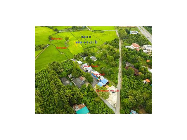 ที่ดินพร้อมคาเฟ่และบ้านพัก 4-2-21 ไร่ วิวภูเขา–ทุ่งนา เมืองกาญจนบ