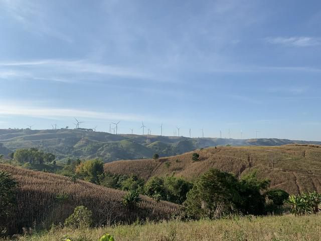 ขายด่วน ที่ดินเขาค้อ วิวกังหันลม วิวพาโนรามา 360° จ.เพชรบูรณ์