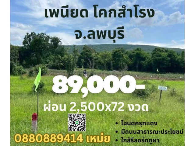 ที่ดิน เพนียด โคกสำโรง ลพบุรี ขนาด 100 ตร.วา