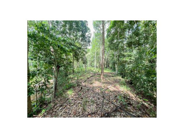 ขาย / ให้เช่า ที่ดินทำเลทอง “ลิปะน้อย เกาะสมุย”