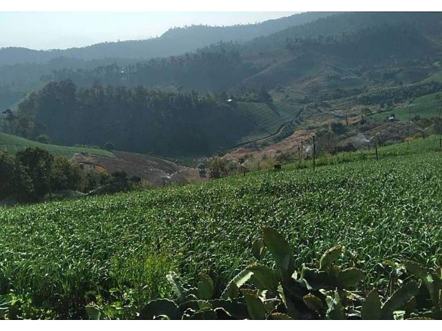 ขายที่ดินโฉนด 1 ไร่ บรรยากาศดี วิวที่สวยงามที่สุดของ อ.ปาย ใกล้แหล่งท่องเที่ยว รีสอร์ต ชุมชน 9 นาทีจากภูริปายรีสอร์ต