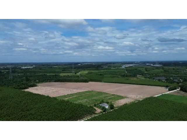 ที่ดินหนองอิรุณบ้านบึงแถมบ้าน 55-1-69ไร่ อ.บ้านบึง จ.ชลบุรี