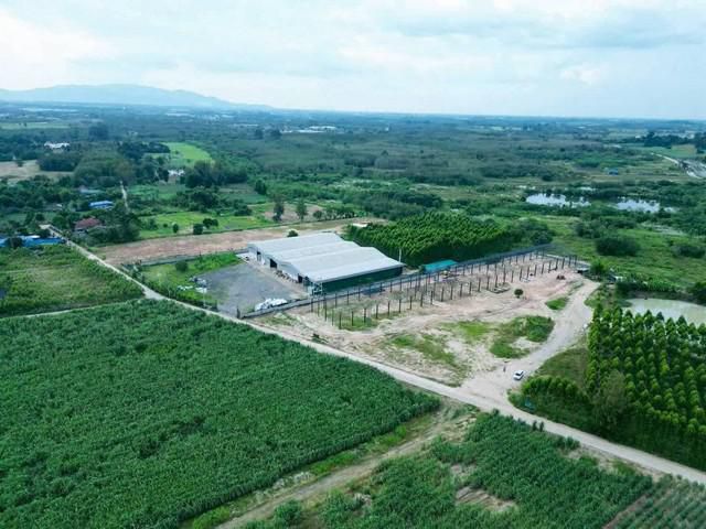 ขายโกดังบนเนื้อที่ 6ไร่ ต.หนองไผ่แก้ว อ.บ้านบึง จ.ชลบุรี