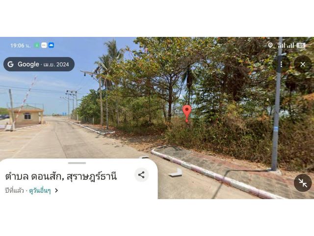 ขายที่ดิน 2 ไร่ 1 งาน 86 ตรว.ใกล้ท่าเรือเฟอร์รี่ความเร็วสูงอ.ดอนสักจ.สุราษฎร์ธานี