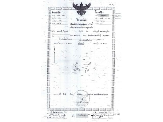 ที่สร้างบ้านราคาถูก 102 ตรว. อ.วังสะพุง จ.เลย