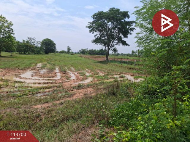 ขายที่ดิน เนื้อที่ 6 ไร่ 2 งาน 58.2 ตร.วา โคกโพธิ์ไชย ขอนแก่น