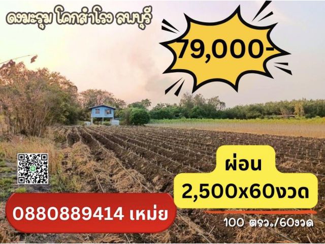 ที่ดิน ดงมะรุม โคกสำโรง จ. ลพบุรี