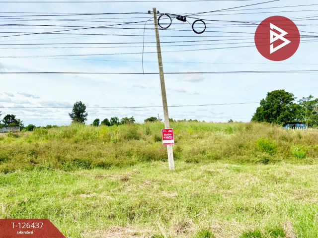 ขายที่ดิน เนื้อที่ 9 ไร่ 2 งาน 40 ตร.วา บ้านไผ่ ขอนแก่น