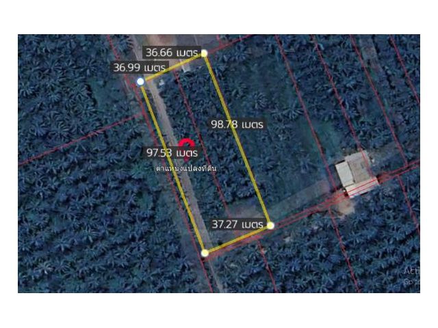 ที่ดินอัมพวา ที่ดินสมุทรสงคราม ที่ดินปลายโพงพาง 2 ไร่กว่า เข้าจากถนนใหญ่ถนนปากท่อสายเก่าเพียง 850 เมตร