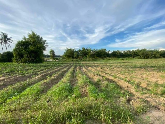 L946 ที่ดินแบ่งขาย ใกล้อ่างเก็บน้ำหนองค้อ เริ่มต้นที่ 100 ตรว ศรีราชา ชลบุรี