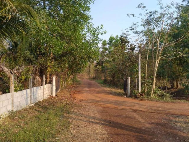 L949 ขายที่ดินใกล้มหาวิทยาลัยราชภัฏอุดรธานี 2 ไร่ หน้ากว้าง 98 เมตร