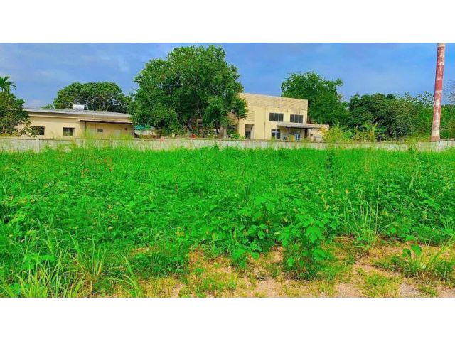 ที่ดินแปลงสวย ใกล้ตลาดนัดท่าช้าง-เซเว่น ทำเลใกล้บ่อน้ำผุดและพิพิธภัณฑ์ศิลปะ ราคาเพียง 1,000,000 บาท