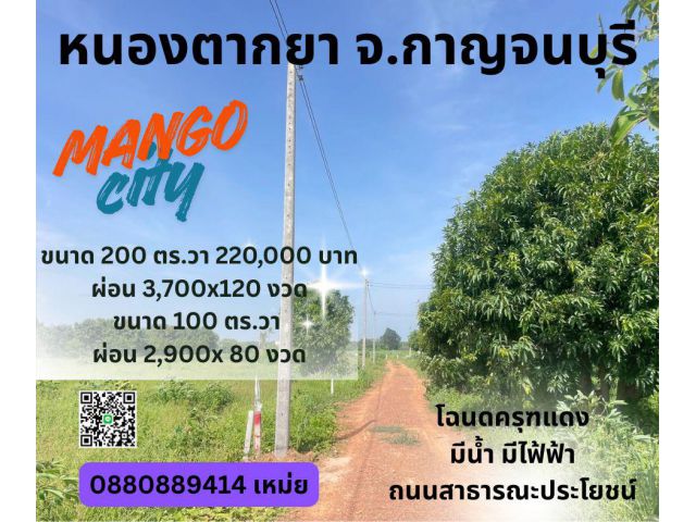 ที่ดิน ท่าม่วง หนองตากยา จ. กาญจนบุรี สด ผ่อนได้