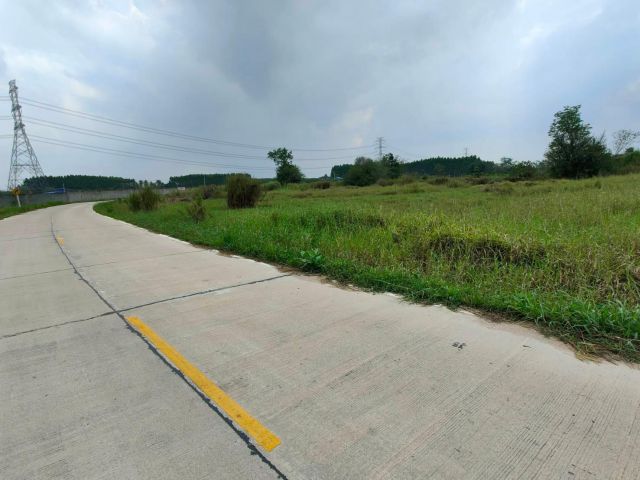 L951 ขายที่ดินใกล้ตลาดเนื่องจำนงค์ 2 ไร่ บ้านบึง ชลบุรี